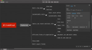 BlinkMindDesktop - náhled