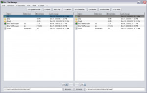 Bru File Manager - náhled