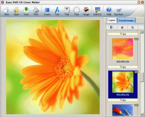 Easy DVD CD Cover Maker - náhled
