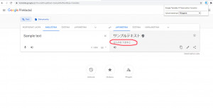 Google Translate Jp Transcription Corrector - náhled