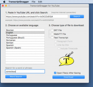 TranscriptSnagger for YouTube - náhled