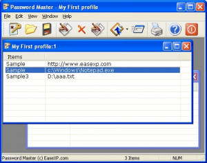 Password Master - náhled