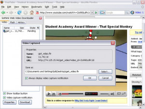 Sothink Web Video Downloader for Firefox - náhled