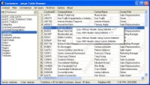 aespe Table Browser - náhled