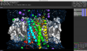 PyMOL - náhled