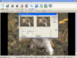 Amor Screen Capture - náhled