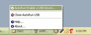 AutoRun USB - náhled