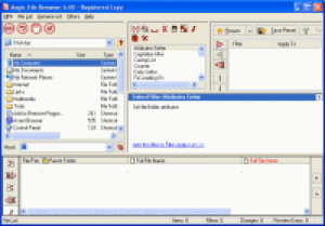 Magic File Renamer Professional Edition - náhled