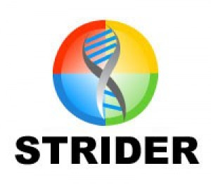 MSR Strider URL Tracer - náhled