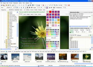 BR's PhotoArchiver - náhled