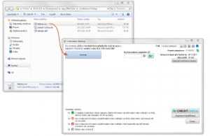 2HCS Creditcheck Desktop - náhled