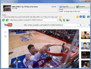 FSS Video Downloader - náhled