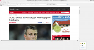 Cubicle Web Browser - náhled