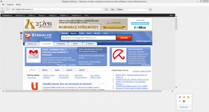 Cubicle Web Browser - náhled
