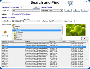 Search and Find - náhled
