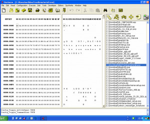 Hackman HEX editor - náhled