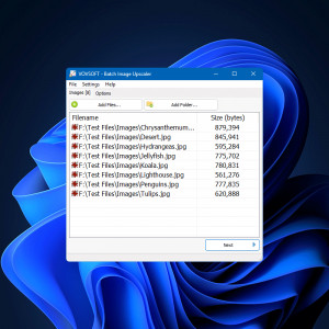 Batch Image Upscaler - náhled