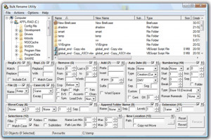 Bulk Rename Utility - náhled