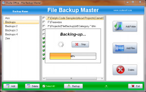 Backup Master - náhled