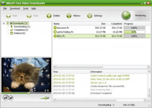 iWisoft Free Video Downloader - náhled