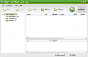 iWisoft Free Video Downloader - náhled