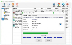 Neat Download Manager - náhled