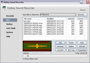 Hotkey Sound Recorder - náhled