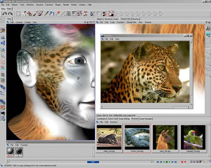 BodyPaint 3D - náhled
