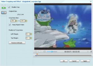 FreeSmith Video Converter - náhled