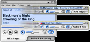 Crawler Radio & MP3 Player - náhled