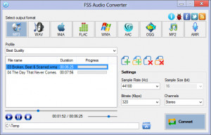  FSS Audio Converter - náhled