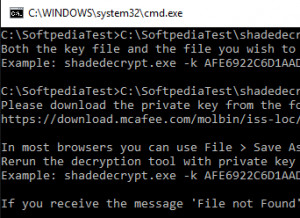 Shade Ransomware Decryption Tool - náhled