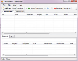 Simultaneous Internet Downloader - náhled