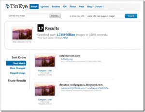 TinEye Client - náhled