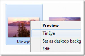 TinEye Client - náhled