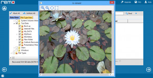 Remo Recover FREE Edition - náhled