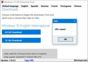 Windows 10 ISO Download Tool - náhled
