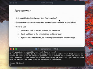 Screanswer - náhled
