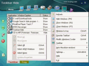 Taskbar Hide - náhled