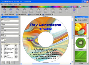AudioLabel CD DVD Labeler - náhled