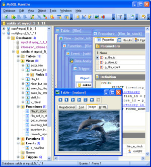 MySQL Maestro - náhled