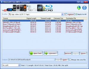 Aleesoft Free MKV Converter - náhled