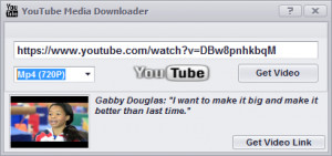YouTube Media Downloader - náhled