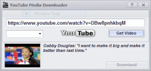 YouTube Media Downloader - náhled