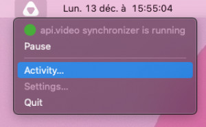 api.video Desktop Synchronizer - náhled