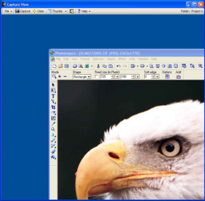 Capture View - náhled
