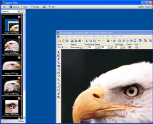 Capture View - náhled