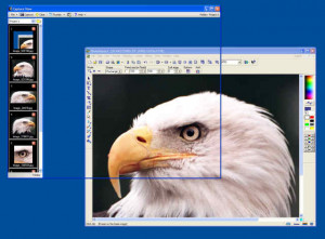 Capture View - náhled