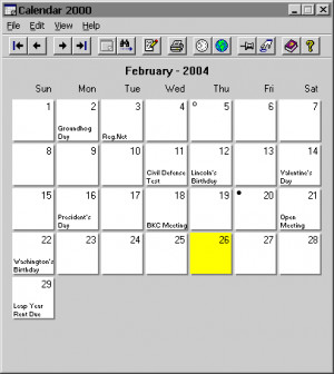 Calendar 2000 - náhled
