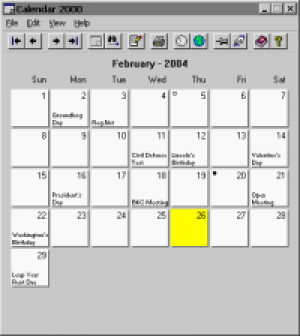 Calendar 2000 - náhled